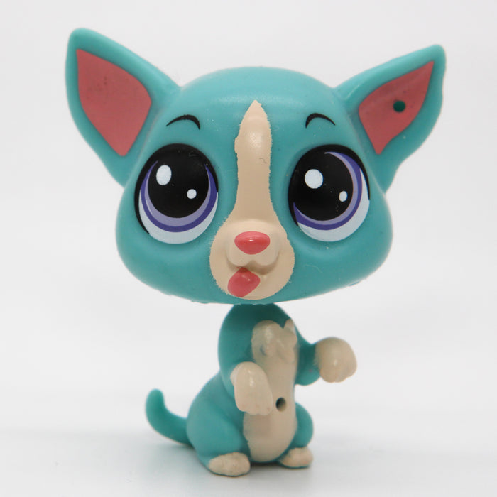 Littlest Petshop Corgi #3884