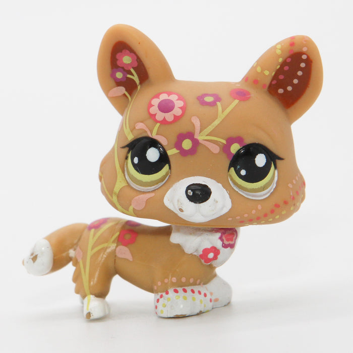 Littlest Petshop Corgi koira #1851