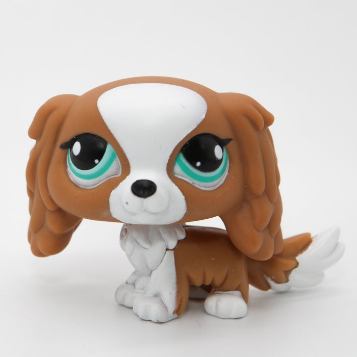 Littlest Petshop Spanieli #1825