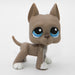 Littlest Petshop Tanskandog koira #184
