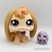 Littlest Petshop Luppakorvakani Jättipetsi - Littlest 