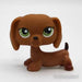 Littlest Petshop Mäyräkoira #139 - Littlest Petshop