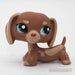 Littlest Petshop Mäyräkoira #1751 - Littlest Petshop