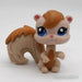Littlest Petshop Orava #1720 - Littlest Petshop