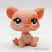 Littlest Petshop Possu #885 - Littlest Petshop