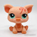 Littlest Petshop Possu #998 - Littlest Petshop