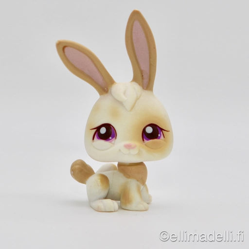 Littlest Petshop Pupu #265 - Littlest Petshop