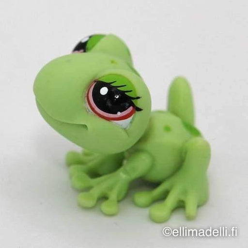 Littlest Petshop Sammakko #898 - Littlest Petshop