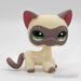 Littlest Petshop Siamialainen Kissa #1116 - Littlest Petshop