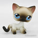 Littlest Petshop Siamilainen Kissa #5 - Littlest Petshop