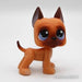 Littlest Petshop Tanskandog koira #244 - Littlest Petshop