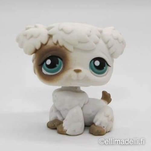 Littlest Petshop Villakoira #204 - Littlest Petshop