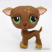 Littlest Petshop Vinttikoira #507 - Littlest Petshop