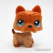 Littlest Petshop Ylämaanterrieri #249 - Littlest Petshop