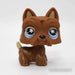 Littlest Petshop Ylämaanterrieri #789 - Littlest Petshop