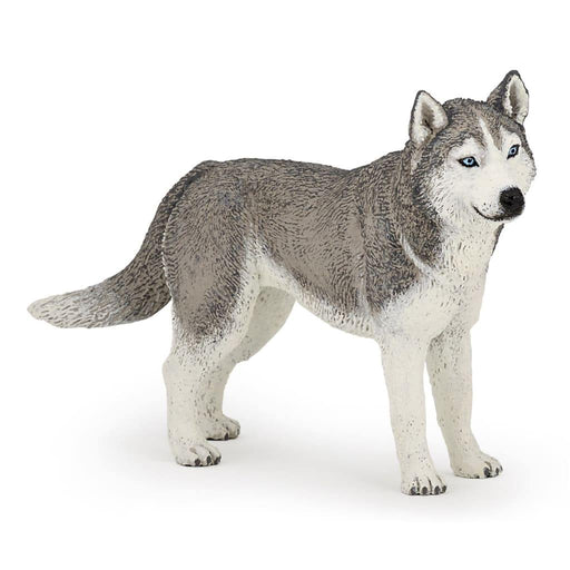 Papo Husky Koira - Schleich/Papo