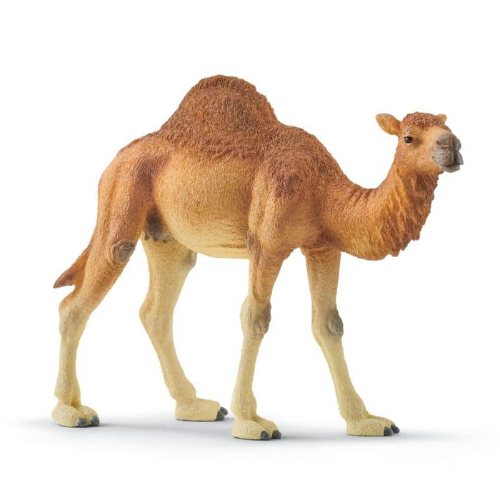 Schleich Dromedaari 14832 - Schleich/Papo