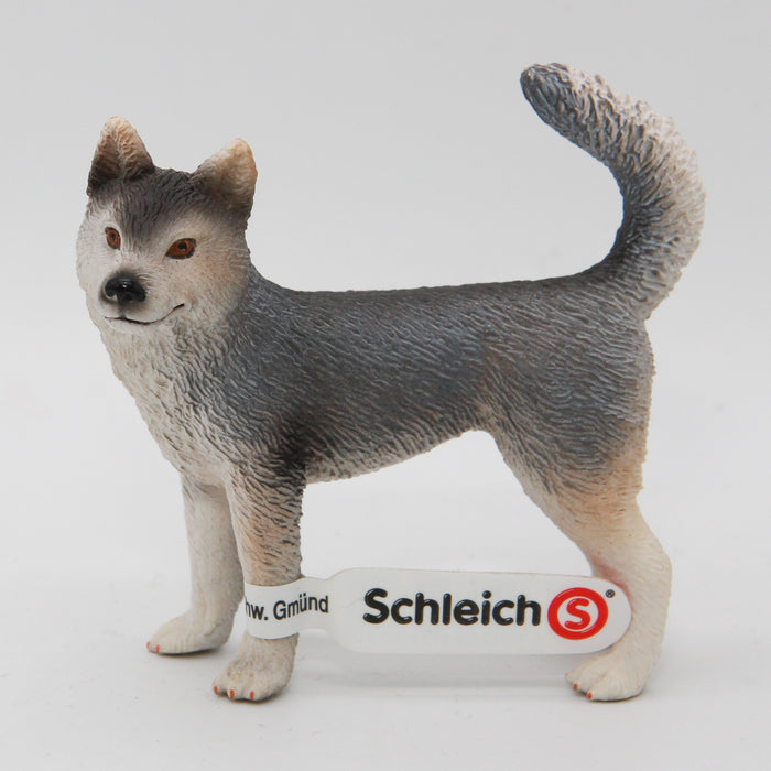 Schleich Husky koira - Second Hand