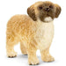 Schleich Shih Tzu - Maltankoira 13931 - Schleich/Papo