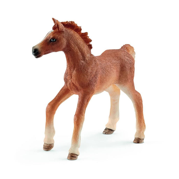 Schleich tyttö ja varsa 42361 - Schleich/Papo